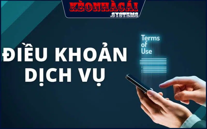 Khái quát những thông tin chi tiết về điều khoản dịch vụ